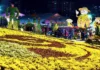 마산가고파국화축제 10월 31일 개막…국화꽃·밤바다에 해상 낙화놀이까지 마산가고파국화축제 야간 국화꽃 전시장