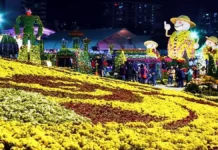마산가고파국화축제 10월 31일 개막…국화꽃·밤바다에 해상 낙화놀이까지 마산가고파국화축제 야간 국화꽃 전시장