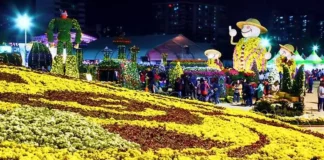 마산가고파국화축제 10월 31일 개막…국화꽃·밤바다에 해상 낙화놀이까지 마산가고파국화축제 야간 국화꽃 전시장