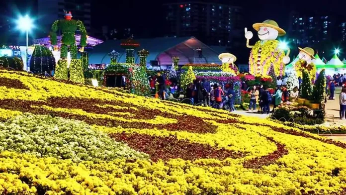 masan-chrysanthemum-night 마산가고파국화축제 야간 국화꽃 전시장