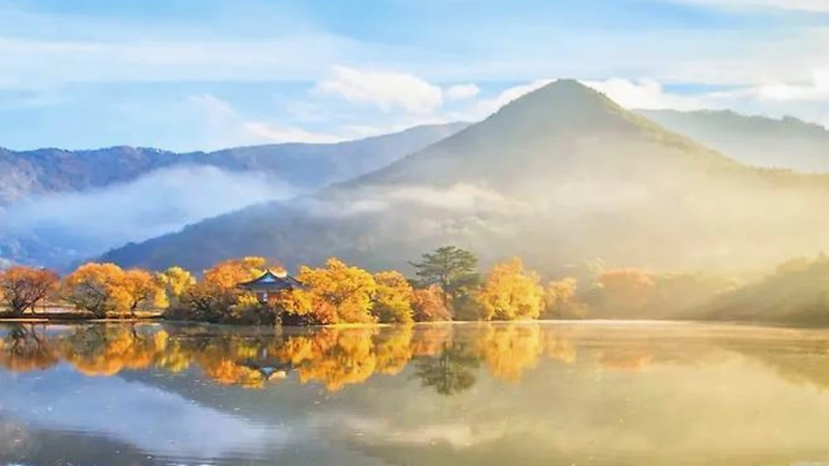 산자락과 물안개가 어우러진 밀양 위양지 전경