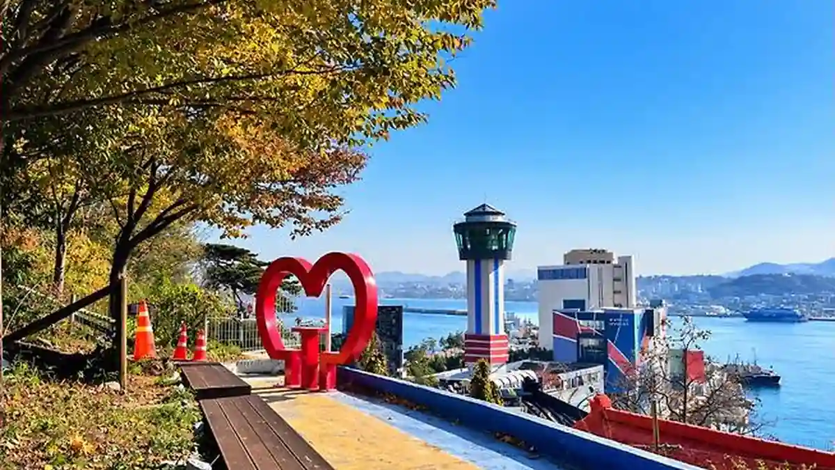 단풍나무와 벤치가 있는 언덕에서 바라본 묵호항