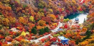 내장산 케이블카 단풍 여행, 우화정·단풍터널 잇는 늦가을 코스 내장산 가을 산자락 아래 우화정 연못과 케이블카 시설 전경