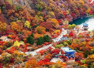 내장산 케이블카 단풍 여행, 우화정·단풍터널 잇는 늦가을 코스 내장산 가을 산자락 아래 우화정 연못과 케이블카 시설 전경
