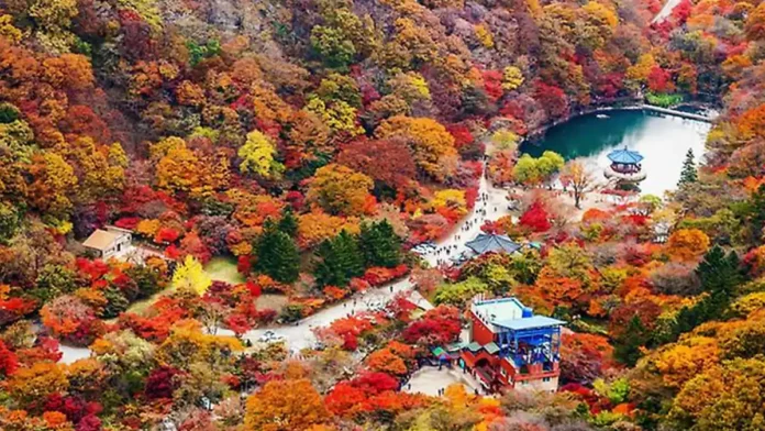 naejangsan-autumn-uhwajeong-cover 내장산 가을 산자락 아래 우화정 연못과 케이블카 시설 전경