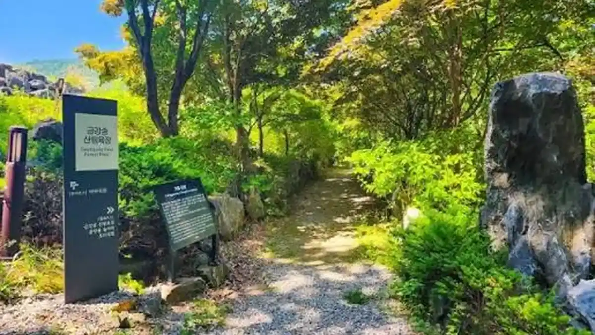 정선 로미지안가든 숲길 입구