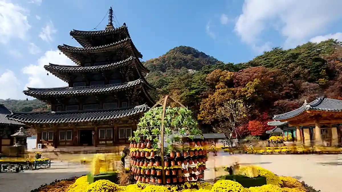 가을 산림과 꽃 장식이 어우러진 법주사 팔상전