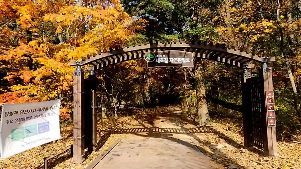 가을 숲에 놓인 세조길 자연관찰로 입구