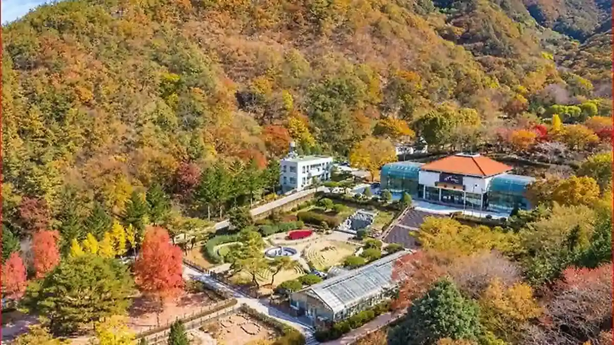 가을 산림에 둘러싸인 대아수목원의 전시시설과 정원