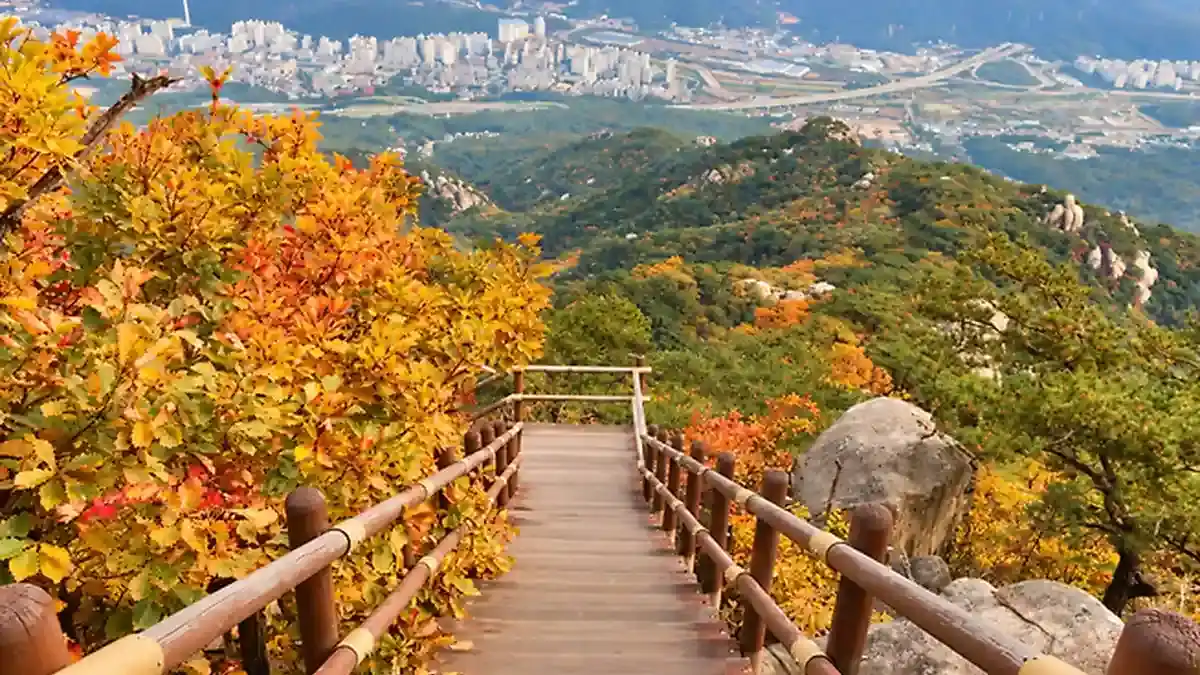 도시를 향해 내려가는 도봉산 목재 계단과 단풍