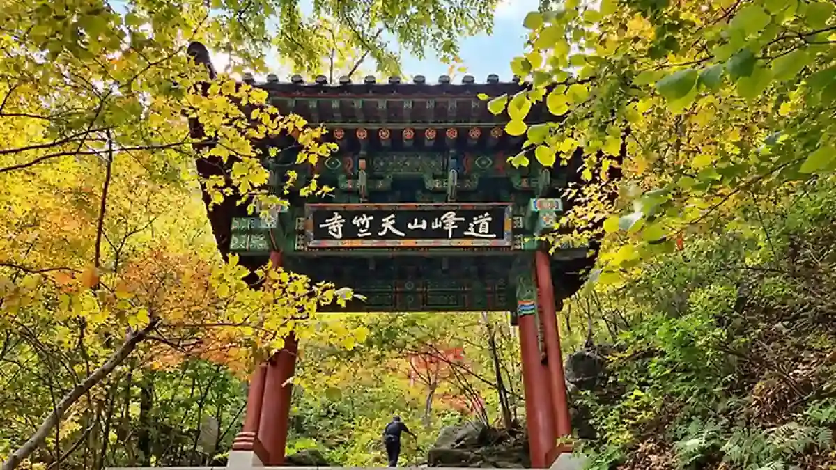 가을 나뭇잎에 둘러싸인 도봉산 천축사 일주문