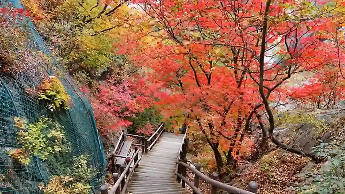 붉은 단풍 사이로 이어지는 도봉산 탐방로 계단